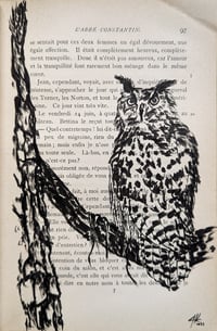 Image 4 of Antique Book Project - Birds of a Feather