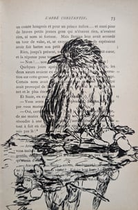 Image 1 of Antique Book Project - Birds of a Feather