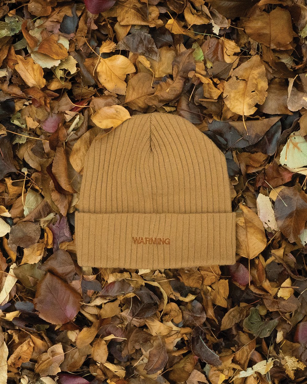 Stages of Fall Beanie (BROWN)