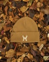 Stages of Fall Beanie (Beige)