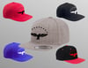 THE AÇORES  SNAPBACK HAT