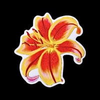 Image 1 of Tiger Lily