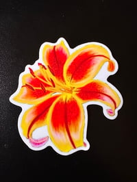 Image 2 of Bright Tiger Lily