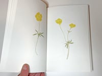 Image 3 of Laurie Clark - 100 Buttercups