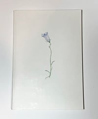 Image 4 of Laurie Clark - 100 Harebells