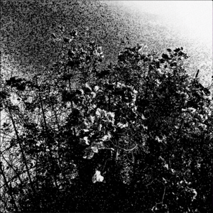 Image of Celestial Sword / Trhä – Split 12" LP