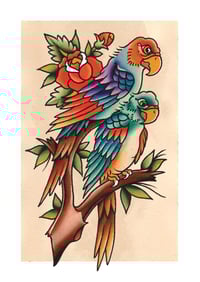 Parrots A4