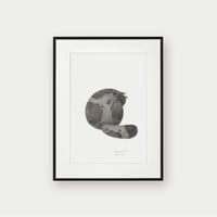 Image 1 of Kitty No.8 Original Artwork