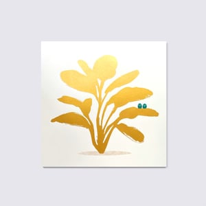 LITTLE GOLD PLANT (Limited Edition)