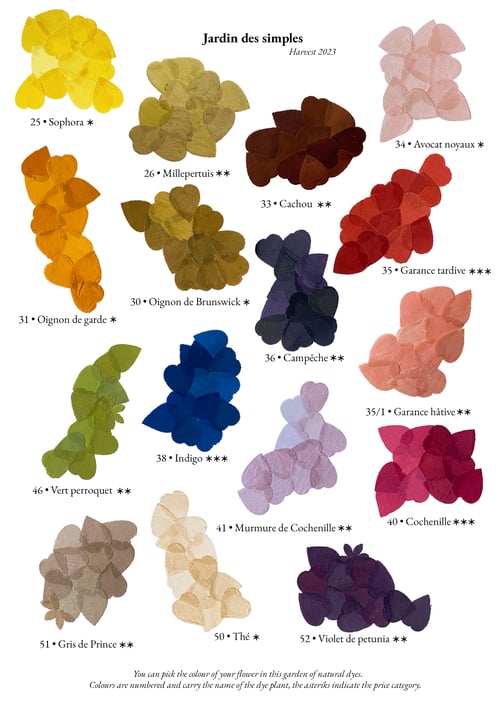 Image of Oeillet en soie Teinture Naturelle - Silk Carnation Natural Dye