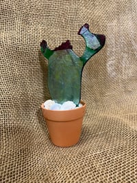 Image 10 of Cactus