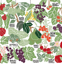 Image 3 of A YEAR IN FRUIT - Wall calendar 