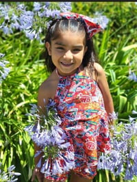 Image 1 of Red panda bike shorts and haiter top outfit 