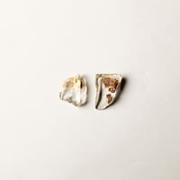 Image 1 of Crémant de Bourgogne Shard Earrings N°2