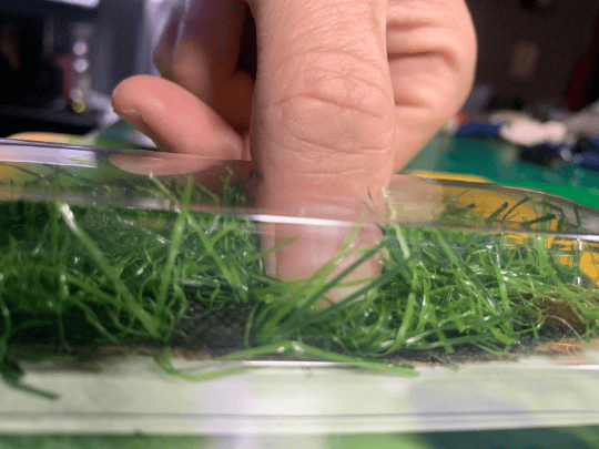 Touch Grass