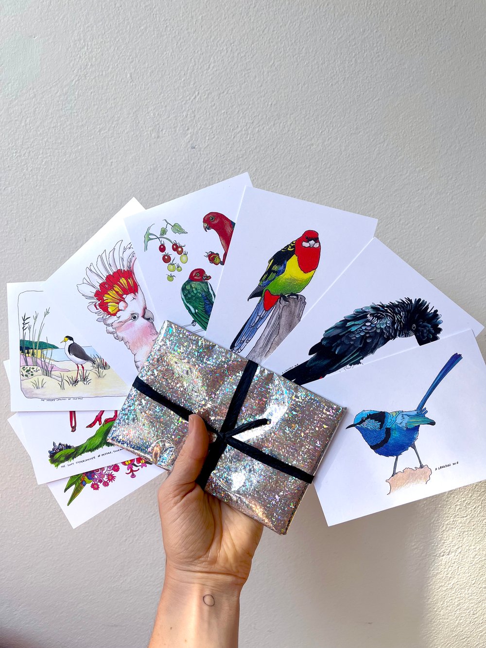 Postcard Pack of 8 - Bird Portraits
