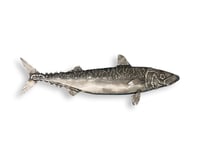 Image 1 of Mackerel - Pacific Chub