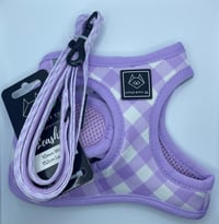 Berry gingham cat harness & lead 