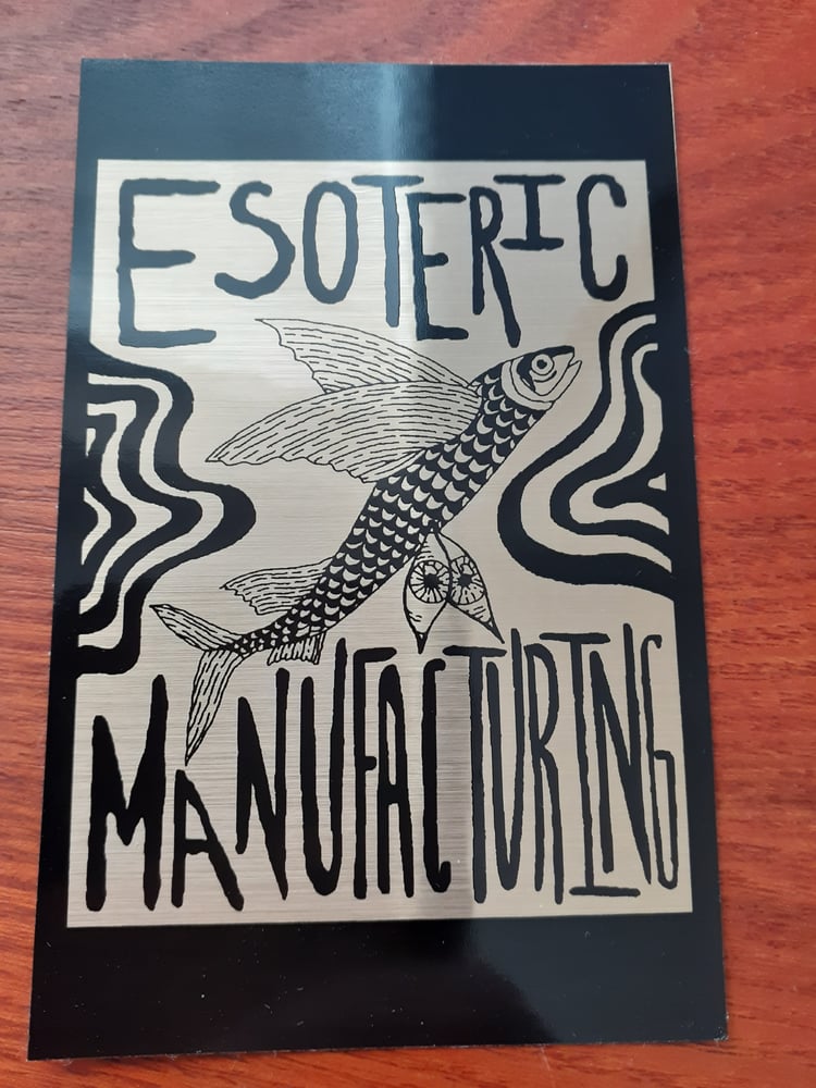 Flying Fish Vinyl Sticker