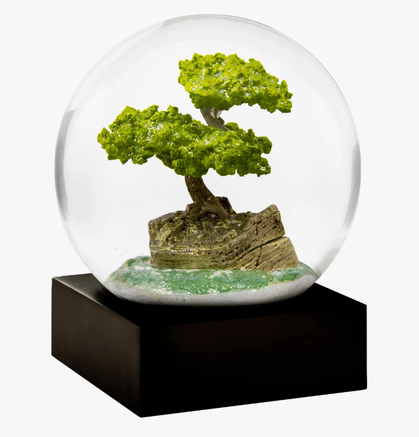 Image of Snow Globes! (5 Kinds)