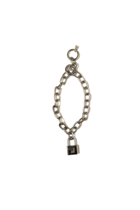 Image 4 of 550BC - ULTRA Limited Edition Dog Chain