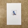 Kingfisher - matted print