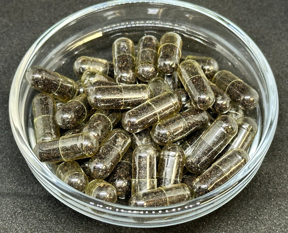 Elderberry Pills