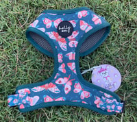 Holly & co butterfly’s harness - MEDIUM 