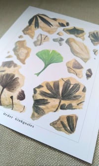 Image 2 of Ginkgo Print