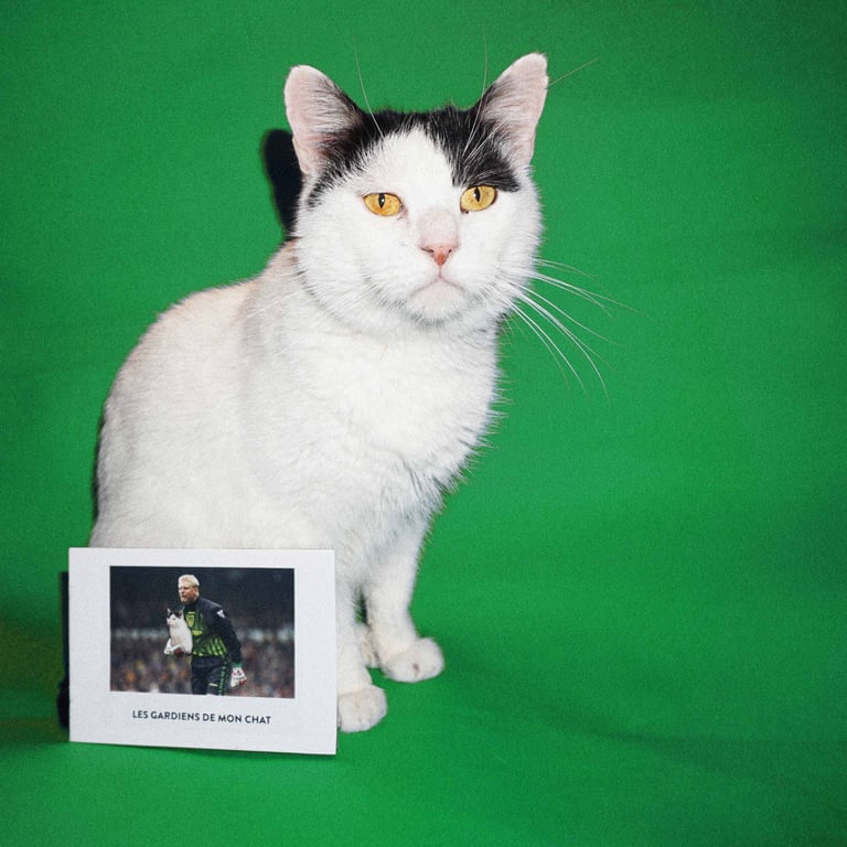 Les gardiens de mon chat  Image 5