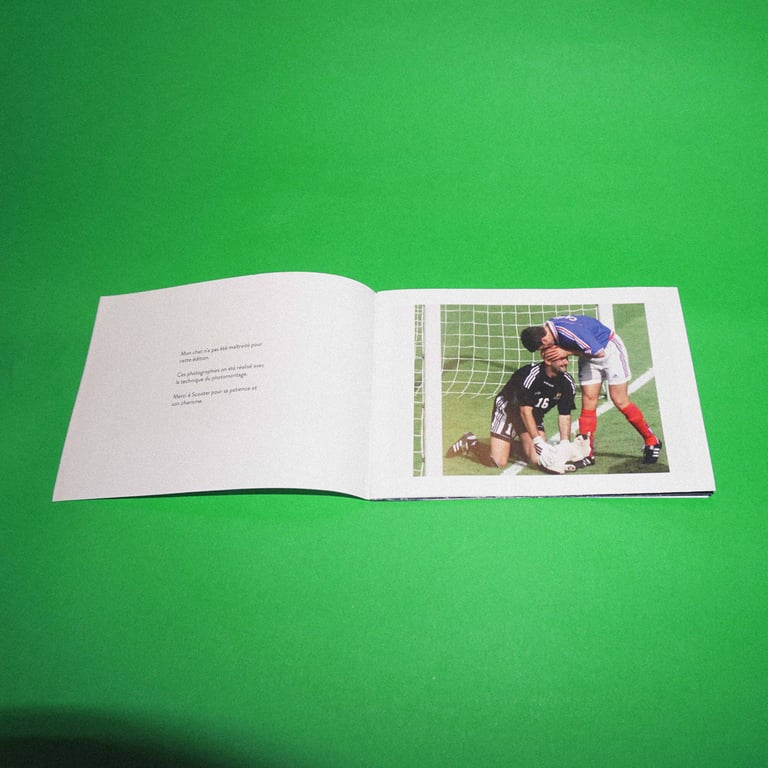 Les gardiens de mon chat  Image 2