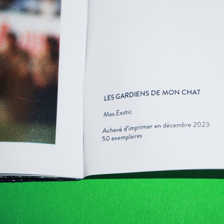 Les gardiens de mon chat  Image 3