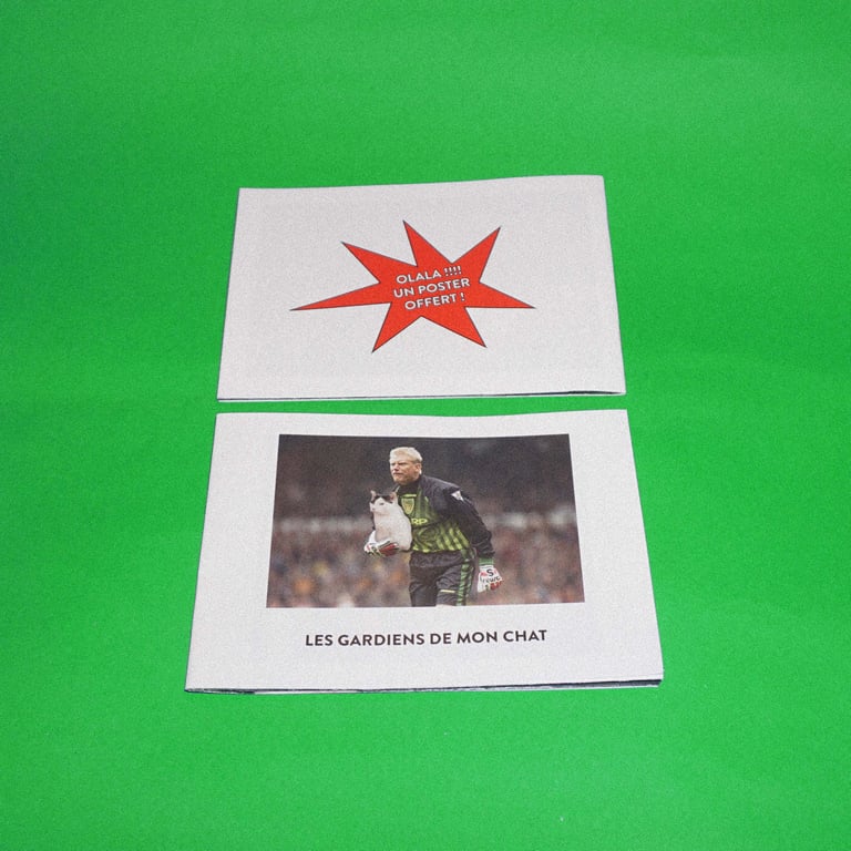 Les gardiens de mon chat 