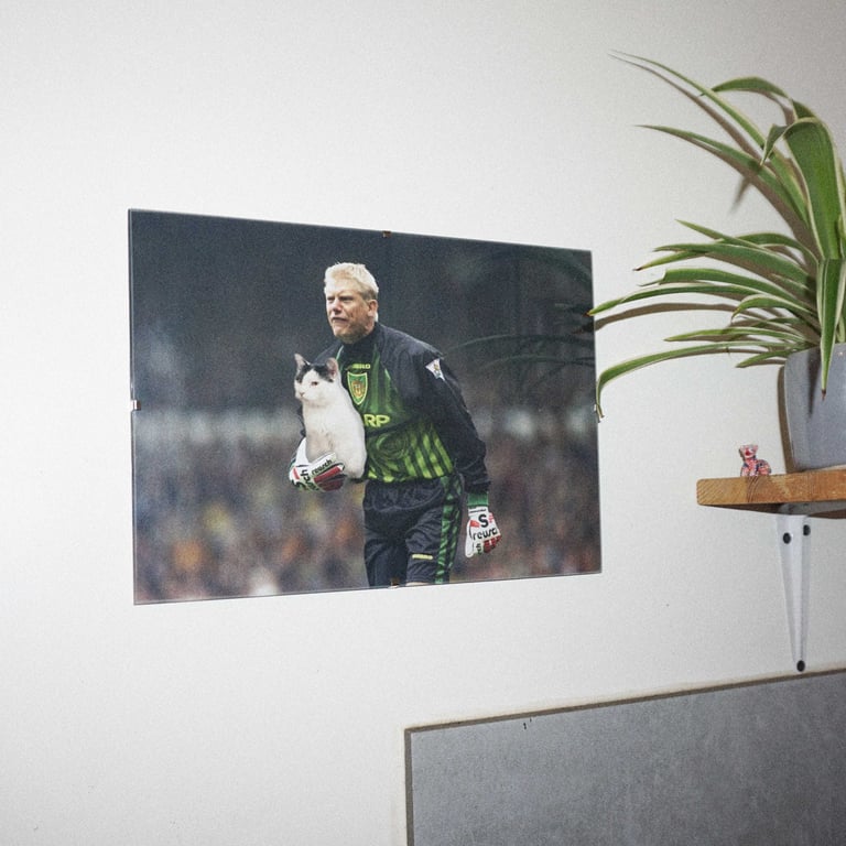 Les gardiens de mon chat  Image 4