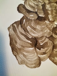 Image 2 of Original Turkey Tail Mushroom Ink Painting 