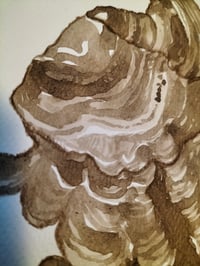 Image 3 of Original Turkey Tail Mushroom Ink Painting 