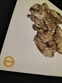 Image 4 of Original Turkey Tail Mushroom Ink Painting 