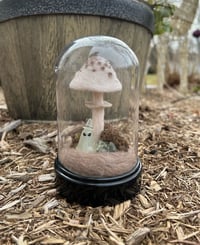 Image 1 of Parasol Mushroom Terrarium (Large)