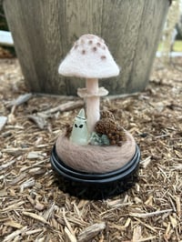 Image 2 of Parasol Mushroom Terrarium (Large)