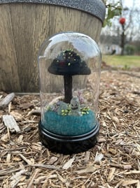 Image 1 of Black Mushroom Terrarium (Large)