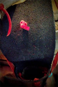 Image 2 of The Jeremiah Johnson