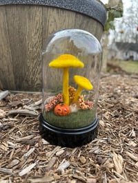 Image 1 of Double Yellow Mushroom Terrarium (Large)