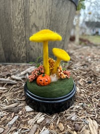 Image 2 of Double Yellow Mushroom Terrarium (Large)