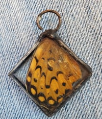 Image 1 of Glass charm pendants with butterfly wing