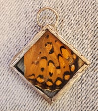 Image 4 of Glass charm pendants with butterfly wing