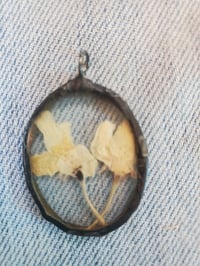 Image 1 of Apple blossoms encased in glass