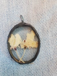 Image 2 of Apple blossoms encased in glass