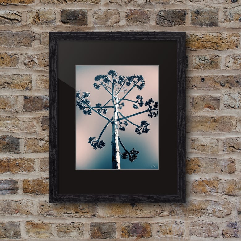 Image of 'West' Series 06