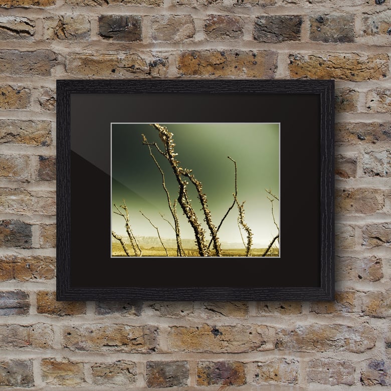 Image of 'West' Series 12