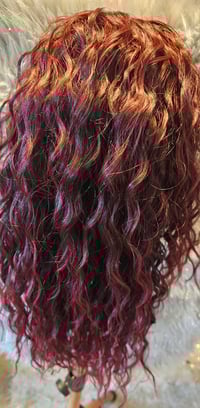 Image 1 of SALOME 2